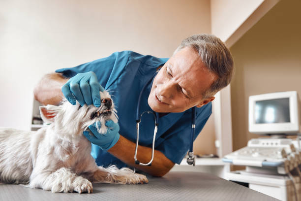 Best Broken Tooth Emergency  in Kentfield, CA